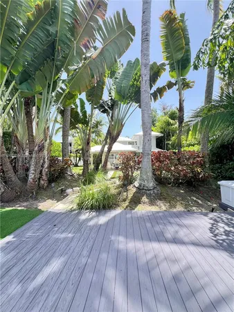 a view of a bunch of flowers