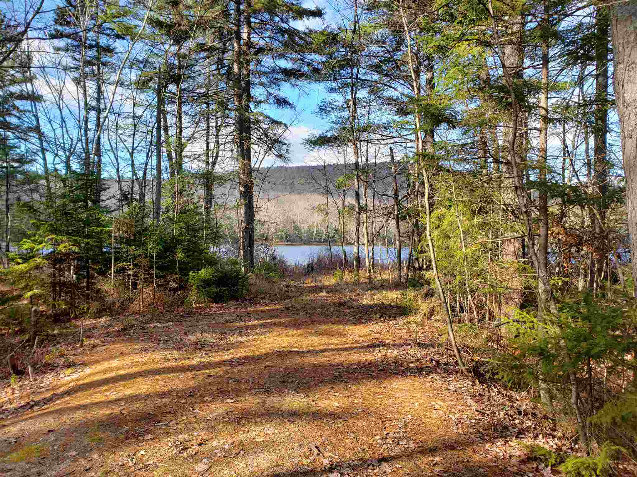 M14-l11 Harrison Road Washington, NH 03280 - Photo 25 of 30 Gallery Image 25