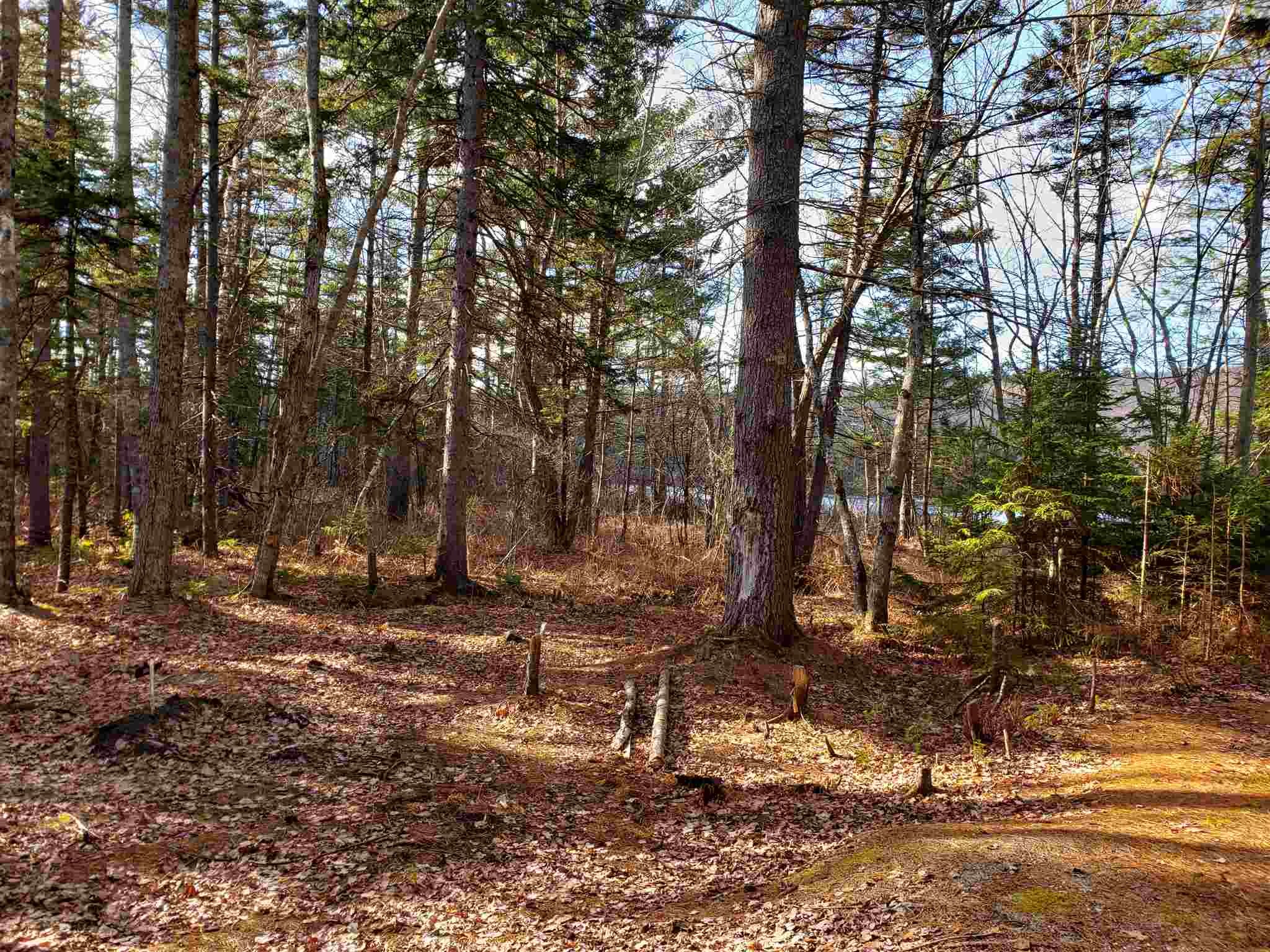 M14-l11 Harrison Road Washington, NH 03280 - Photo 26 of 30 Gallery Image 26