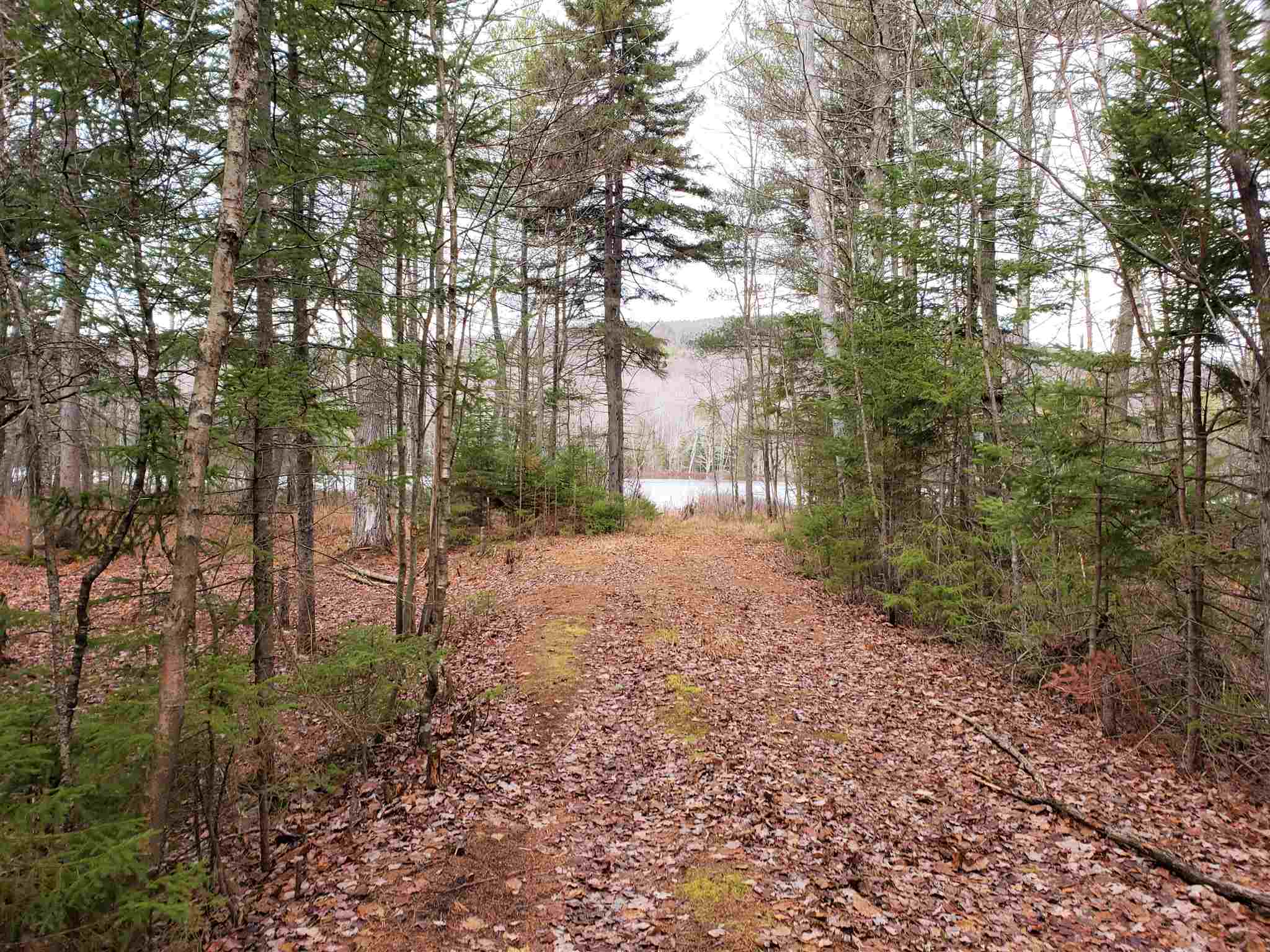 M14-l11 Harrison Road Washington, NH 03280 - Photo 28 of 30 Gallery Image 28