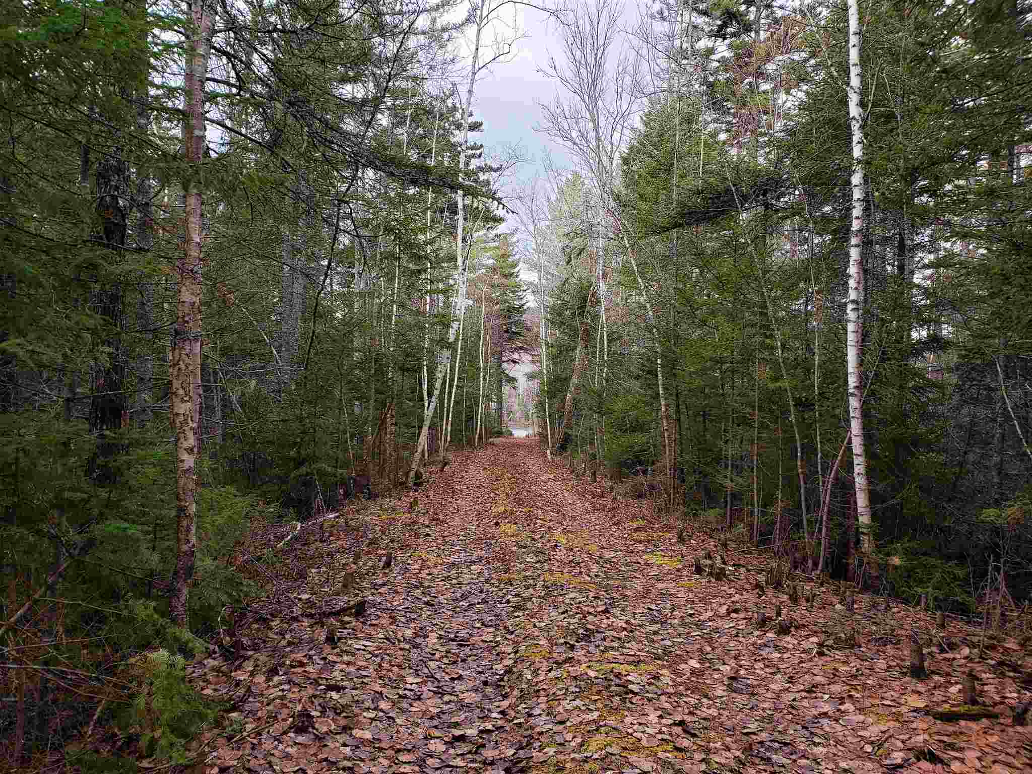 M14-l11 Harrison Road Washington, NH 03280 - Photo 29 of 30 Gallery Image 29