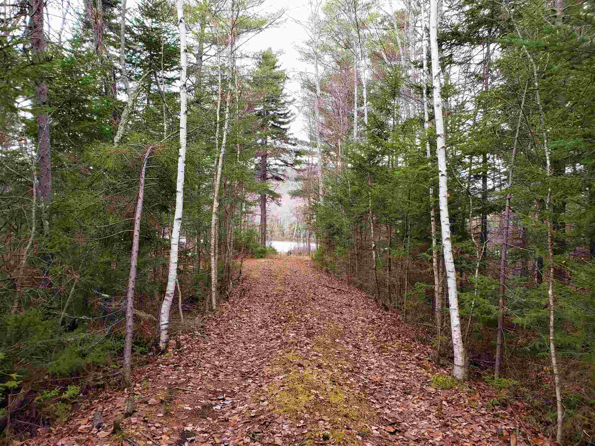 M14-l11 Harrison Road Washington, NH 03280 - Photo 30 of 30 Gallery Image 30