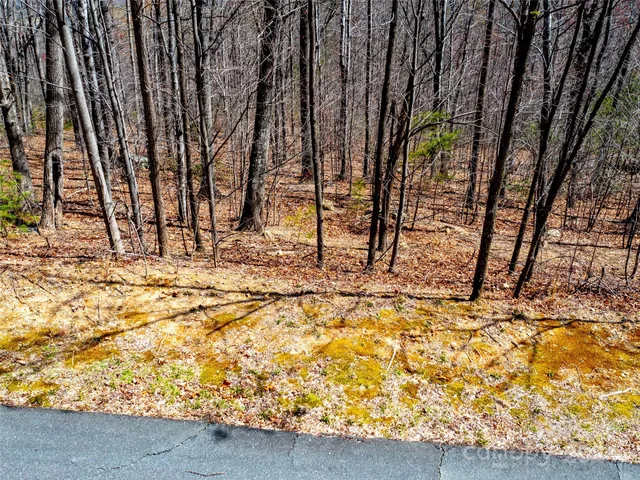 $2,346,570 | 2101 Harm Creek Loop Mill Spring, Mill Spring, NC 28756