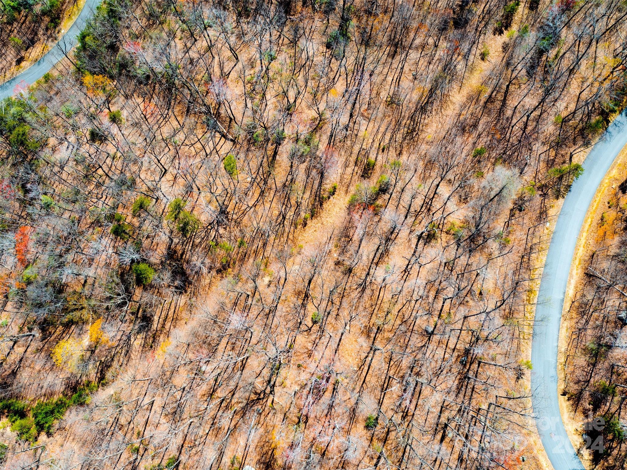 2101 Harm Creek Loop Mill Spring Mill Spring, NC 28756 - Photo 10 of 13