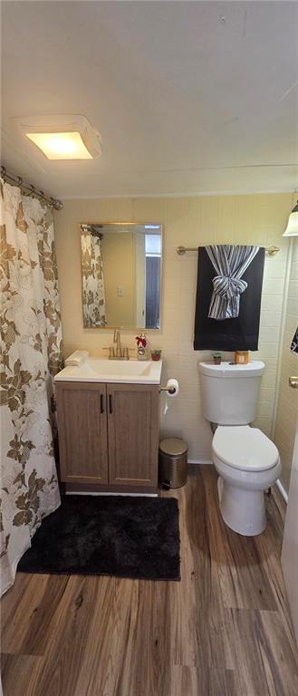 7043 South Goddard Road Stonecrest, GA 30038 - Photo 25 of 33 a bathroom with a sink a toilet and a mirror