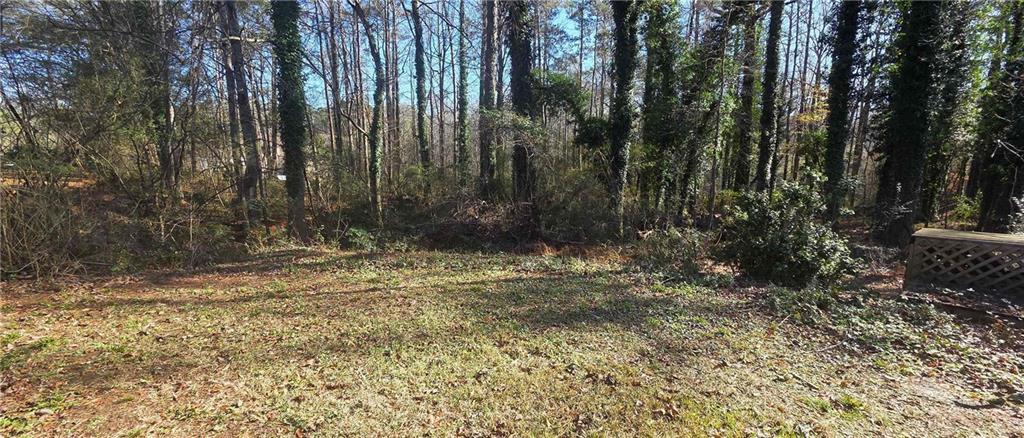 7043 South Goddard Road Stonecrest, GA 30038 - Photo 32 of 33 a view of a yard with trees