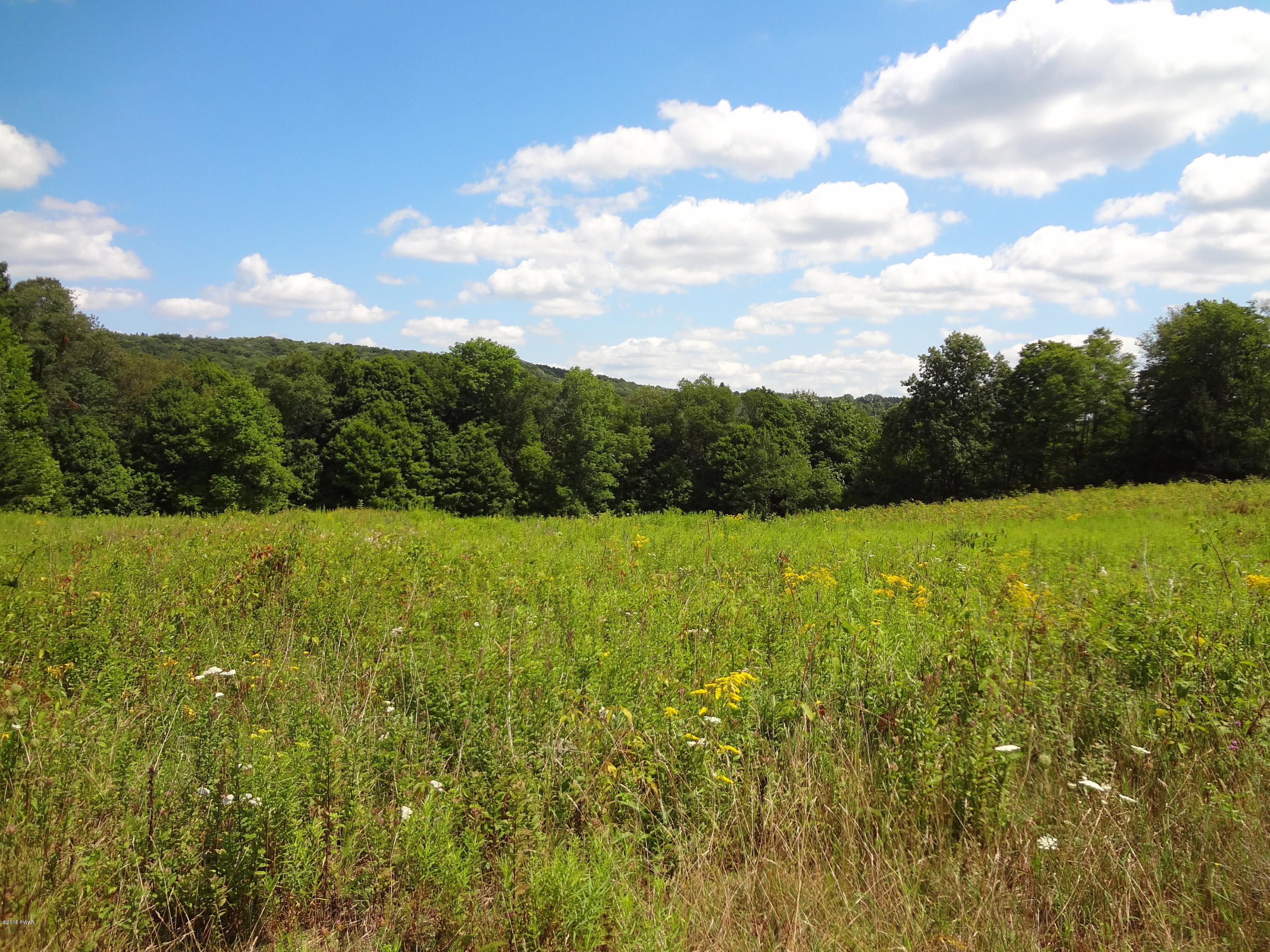 82 Long River Road Newfoundland, PA 18445 - Photo 9 of 13 4.76 Acres (2)