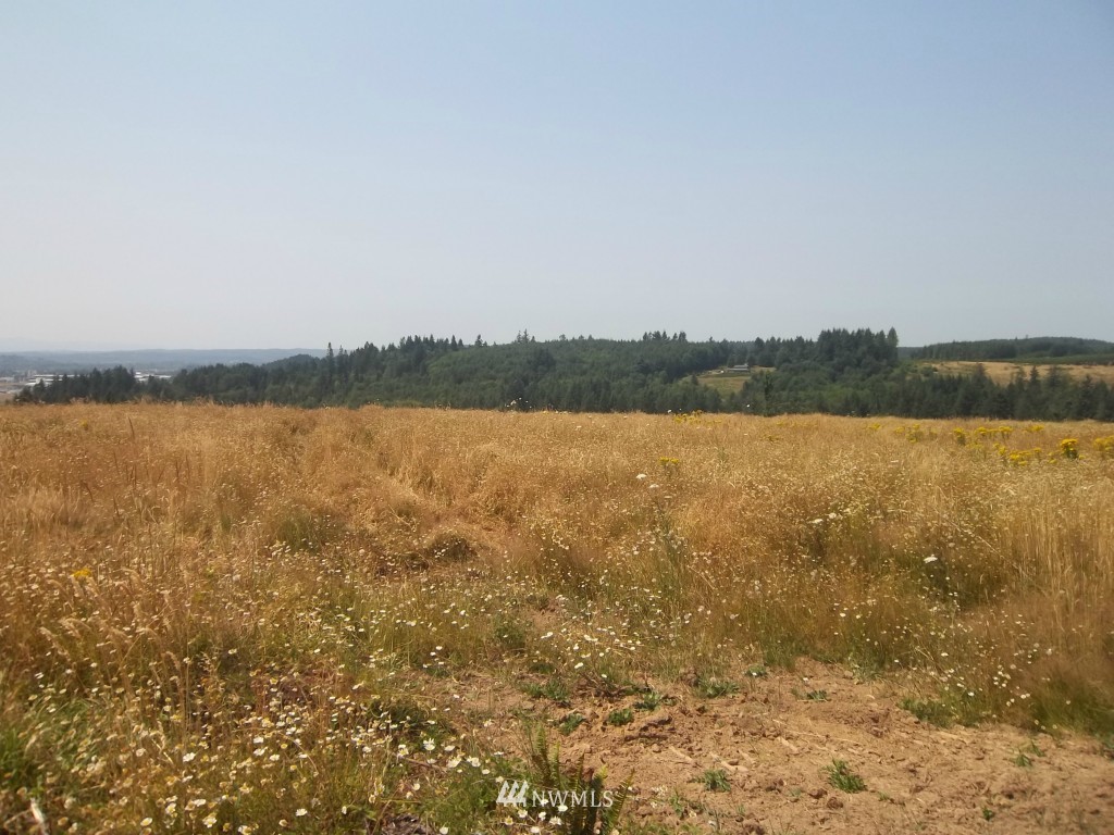 -lot A Yates Road Chehalis, WA 98532 - Photo 1 of 5