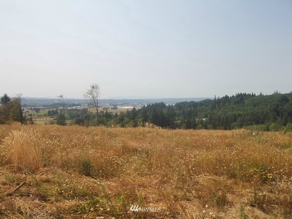 -lot A Yates Road Chehalis, WA 98532 - Photo 2 of 5