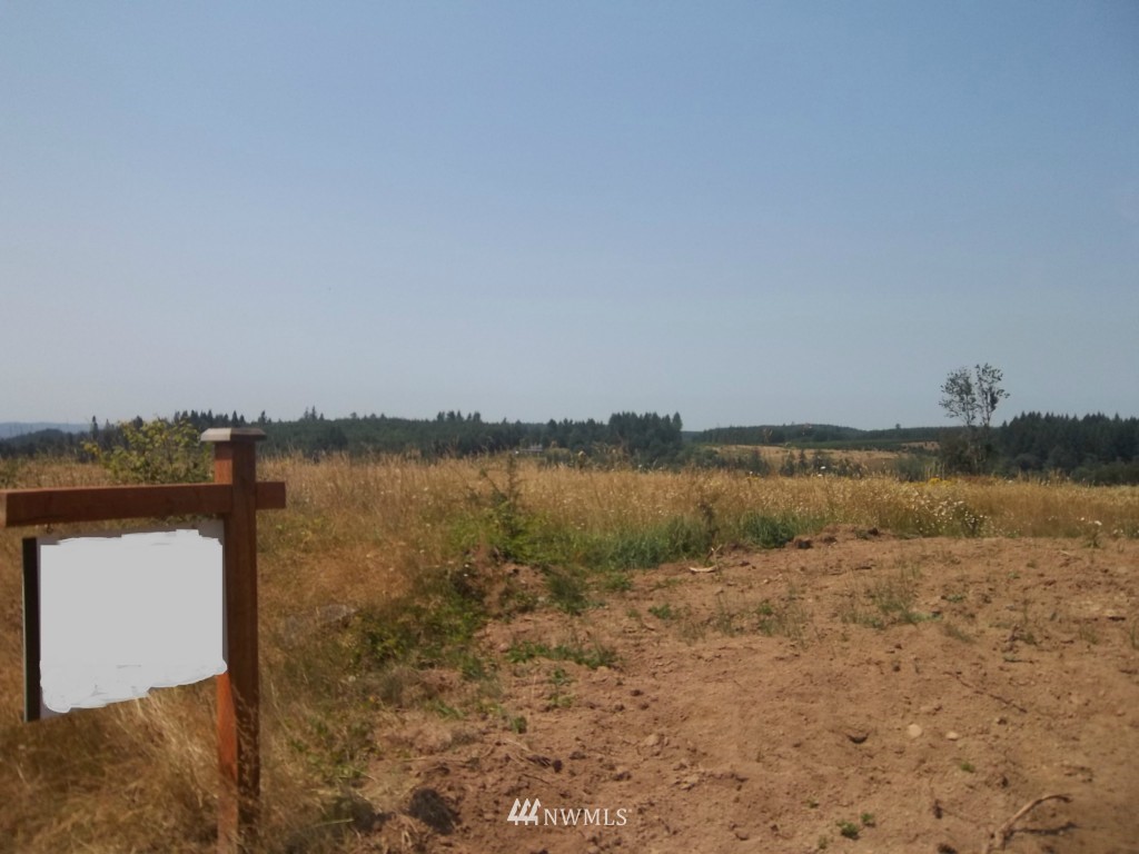 -lot A Yates Road Chehalis, WA 98532 - Photo 4 of 5