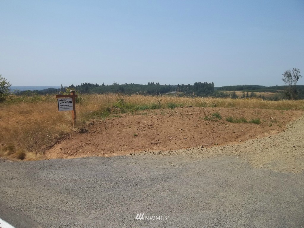 -lot A Yates Road Chehalis, WA 98532 - Photo 5 of 5