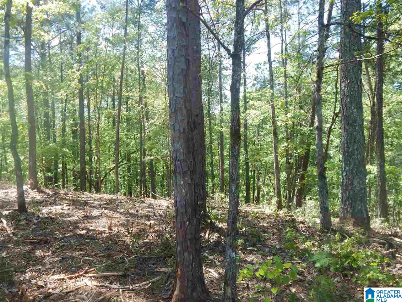 13084 Hobby Horse Road Vance, AL 35490 - Photo 21 of 21
