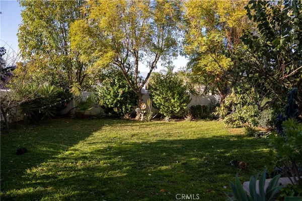 a view of a trees in a yard