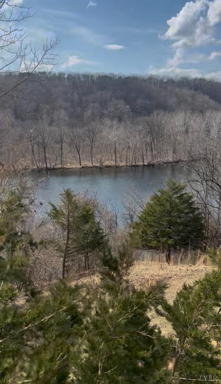 426 Burgess Road Madison Heights, VA 24572 - Photo 31 of 51 a view of lake