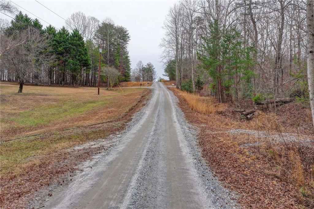 Lot5 Purvis Road Baldwin, GA 30511 - Photo 2 of 17 a view of a backyard with large trees