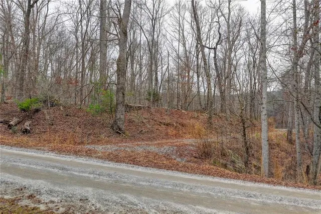 a view of a forest with trees