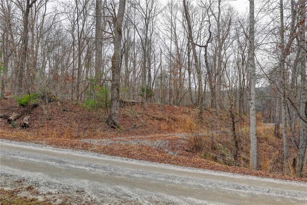 Lot5 Purvis Road Baldwin, GA 30511 - Photo 3 of 17 a view of a forest with trees