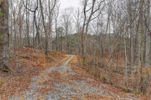 a view of backyard with green space