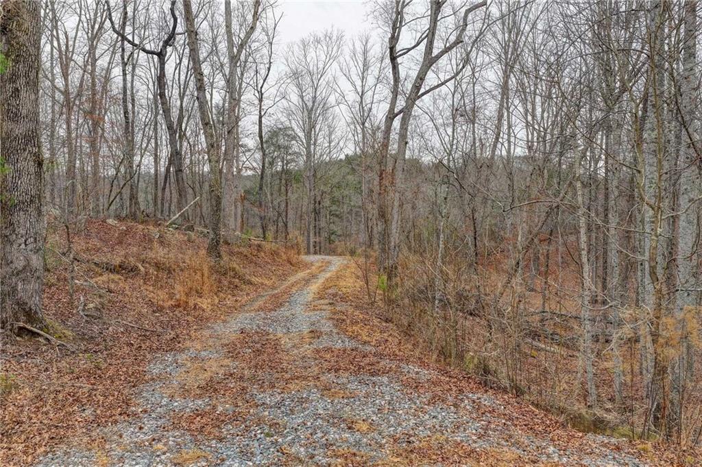 Lot5 Purvis Road Baldwin, GA 30511 - Photo 4 of 17 a view of backyard with green space