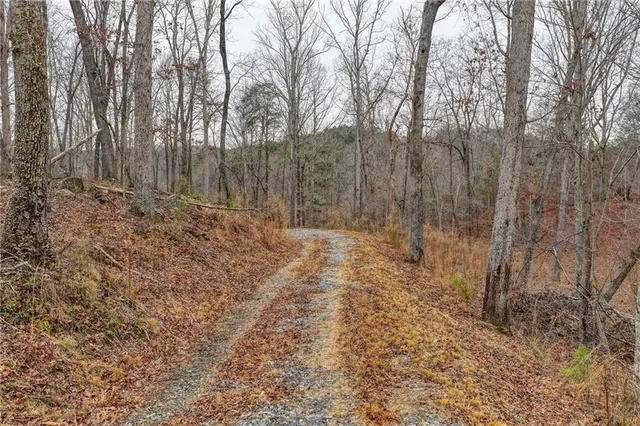 a view of small yard