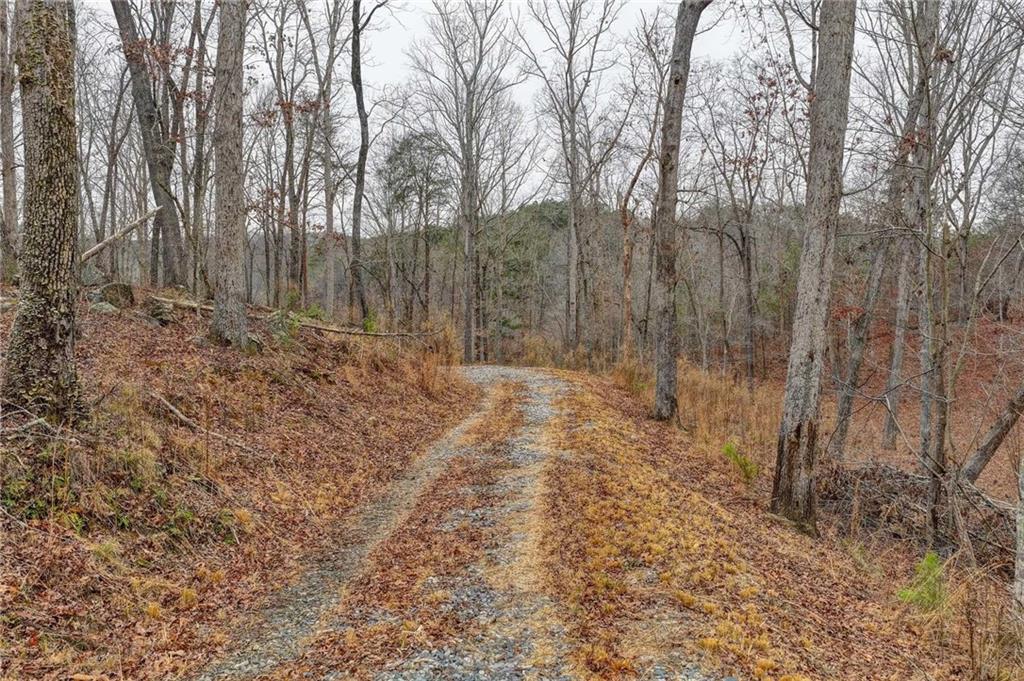 Lot5 Purvis Road Baldwin, GA 30511 - Photo 5 of 17 a view of small yard