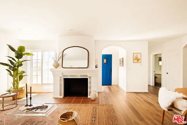 a living room with furniture a fireplace and a potted plant