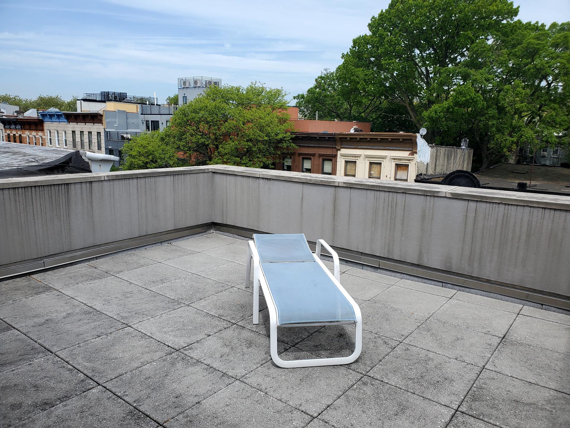 686 MacDonough Street, Unit 3A Brooklyn, NY 11233 - Photo 6 of 7 a view of a terrace