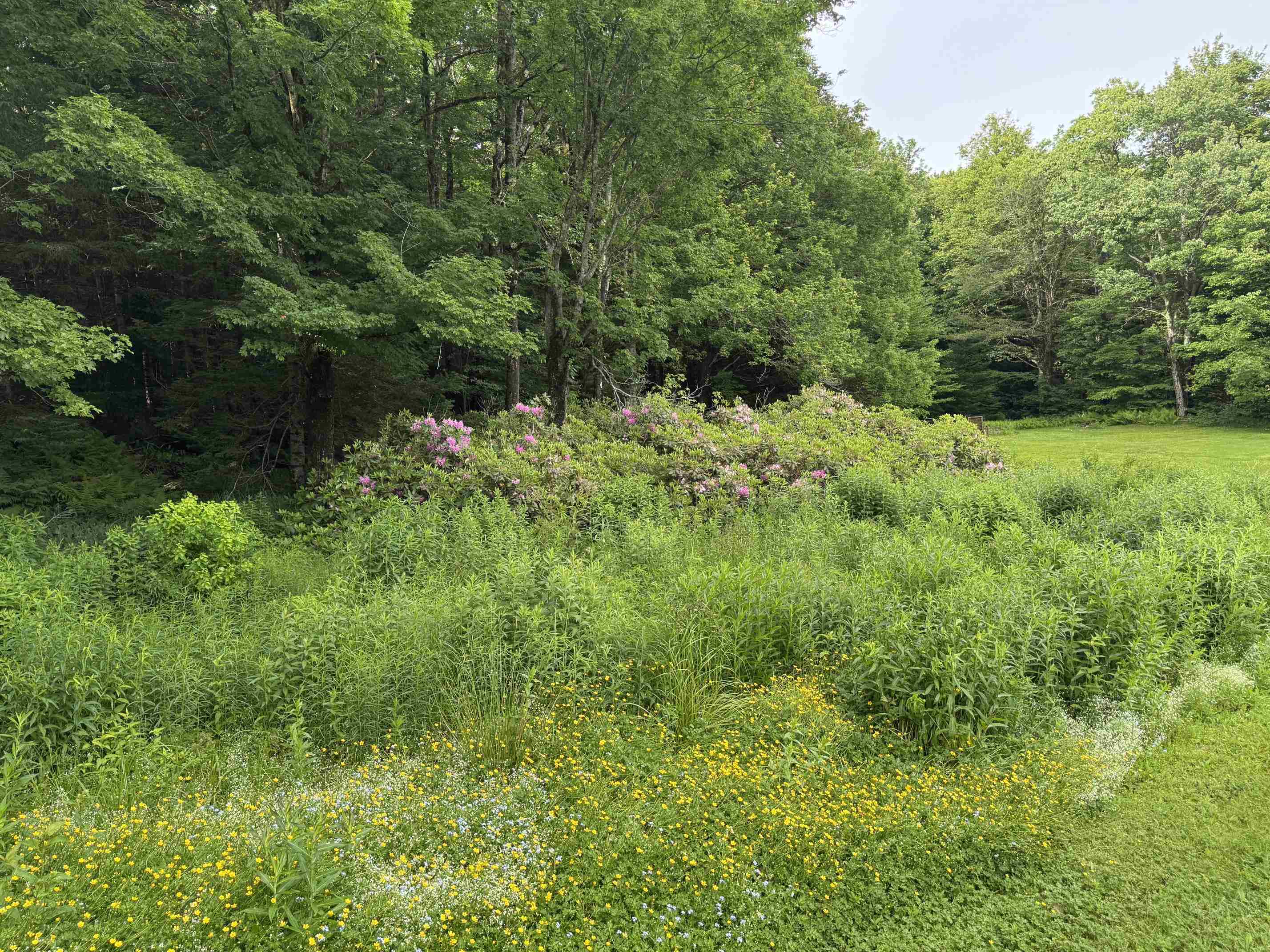 141 Williams Road Readsboro, VT 05350 - Photo 28 of 28 Gallery Image 28