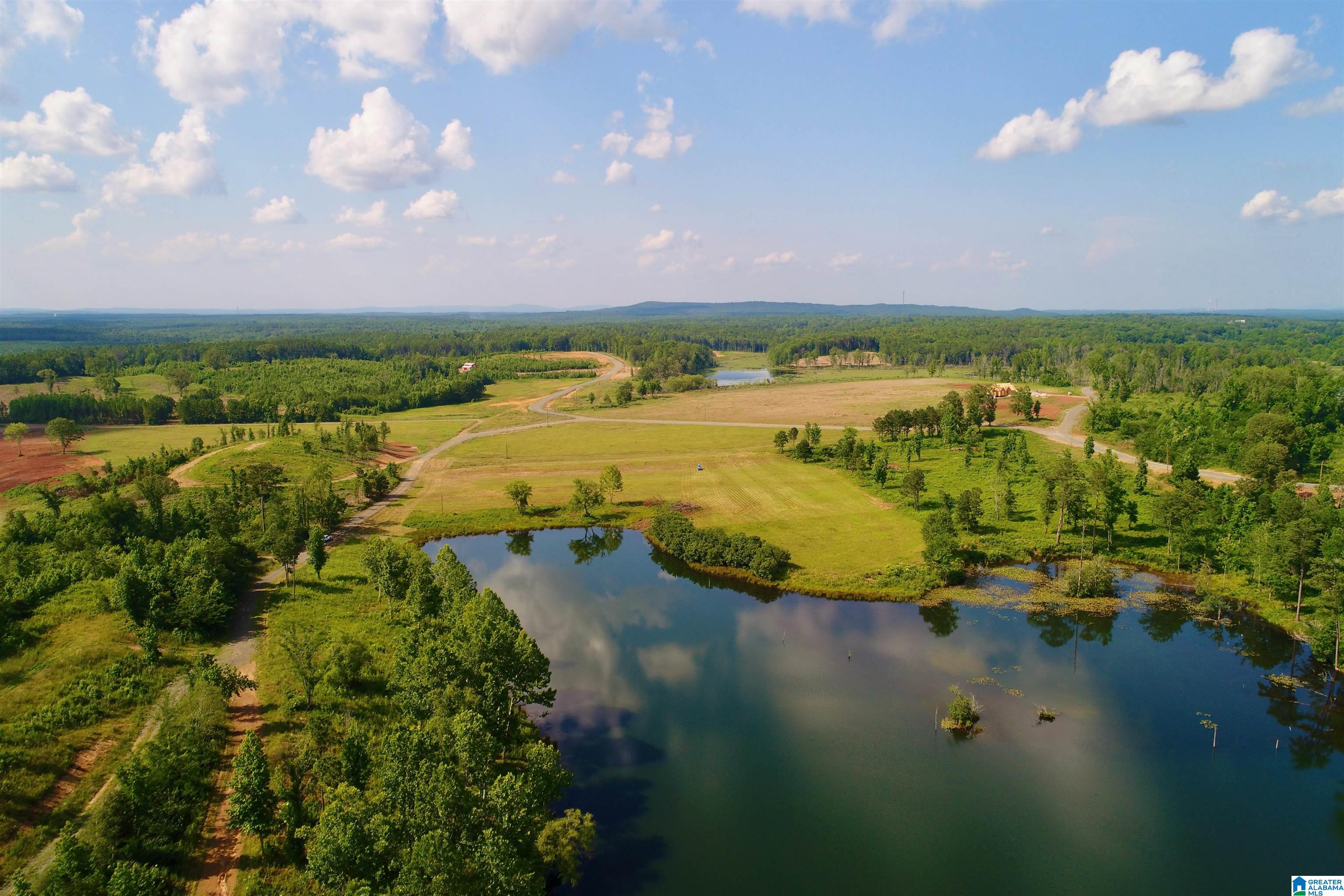0 Burton Road, Unit 16 Shelby, AL 35143 - Photo 1 of 16