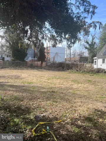 a view of a yard with a tree
