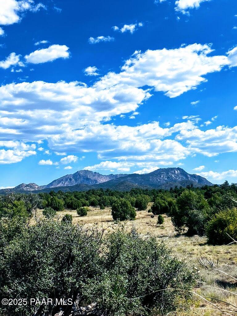 96 North Puntenney Road Prescott, AZ 86305 - Photo 1 of 3 a view of a city