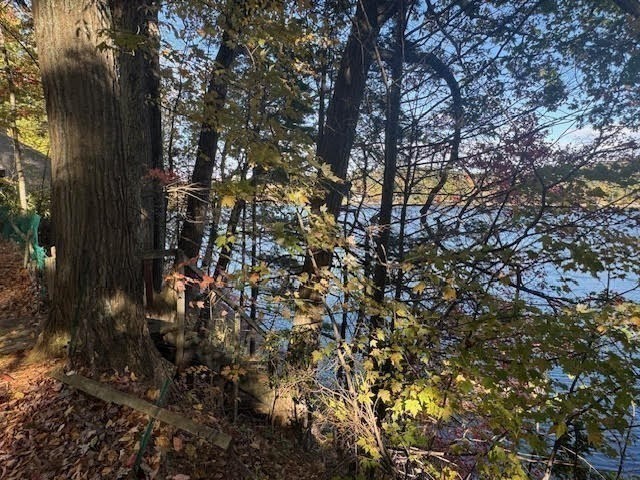 1 Lane 22 Brookfield, MA 01506 - Photo 16 of 24 a view of a tree