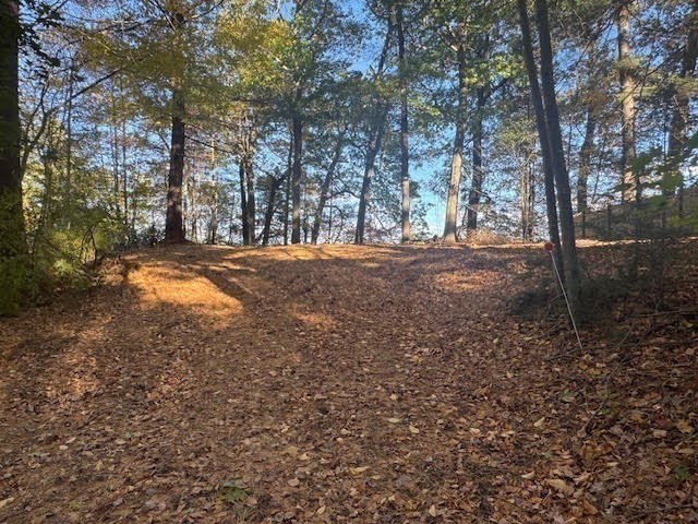 1 Lane 22 Brookfield, MA 01506 - Photo 2 of 24 a view of a yard with trees