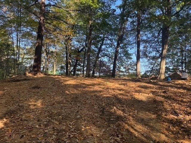 1 Lane 22 Brookfield, MA 01506 - Photo 3 of 24 a view of outdoor space with trees