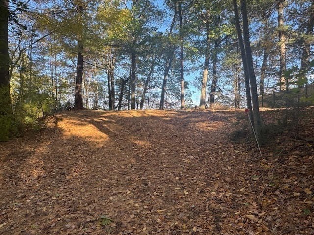 1 Lane 22 Brookfield, MA 01506 - Photo 4 of 24 a view of a yard with large trees