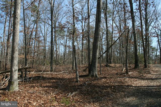 6 Mitchell Point Road Mineral, VA 23117 - Photo 2 of 14 Exterior (General)