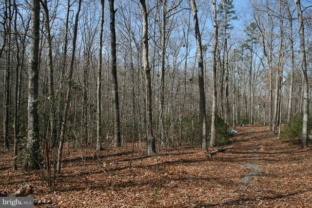 6 Mitchell Point Road Mineral, VA 23117 - Photo 4 of 14 Exterior (General)