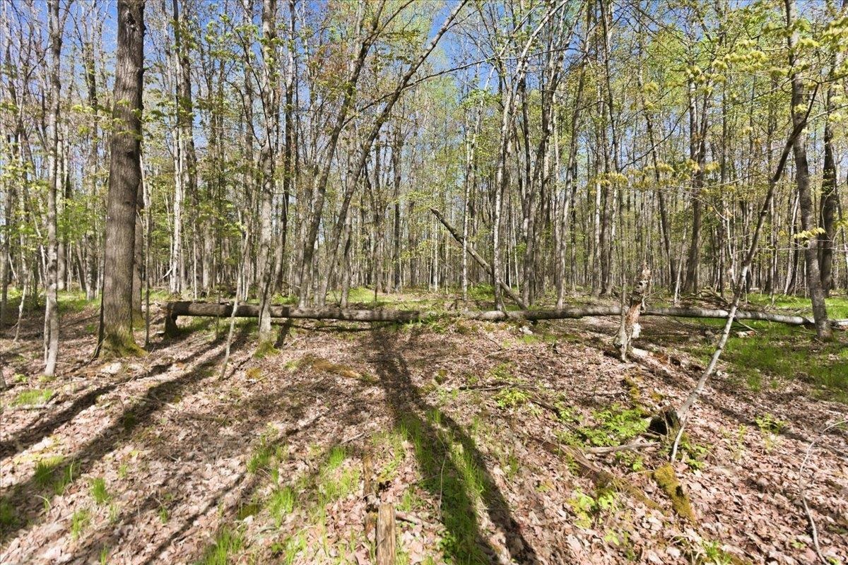 W585 Strucker Road Ogema, WI 54459 - Photo 9 of 55