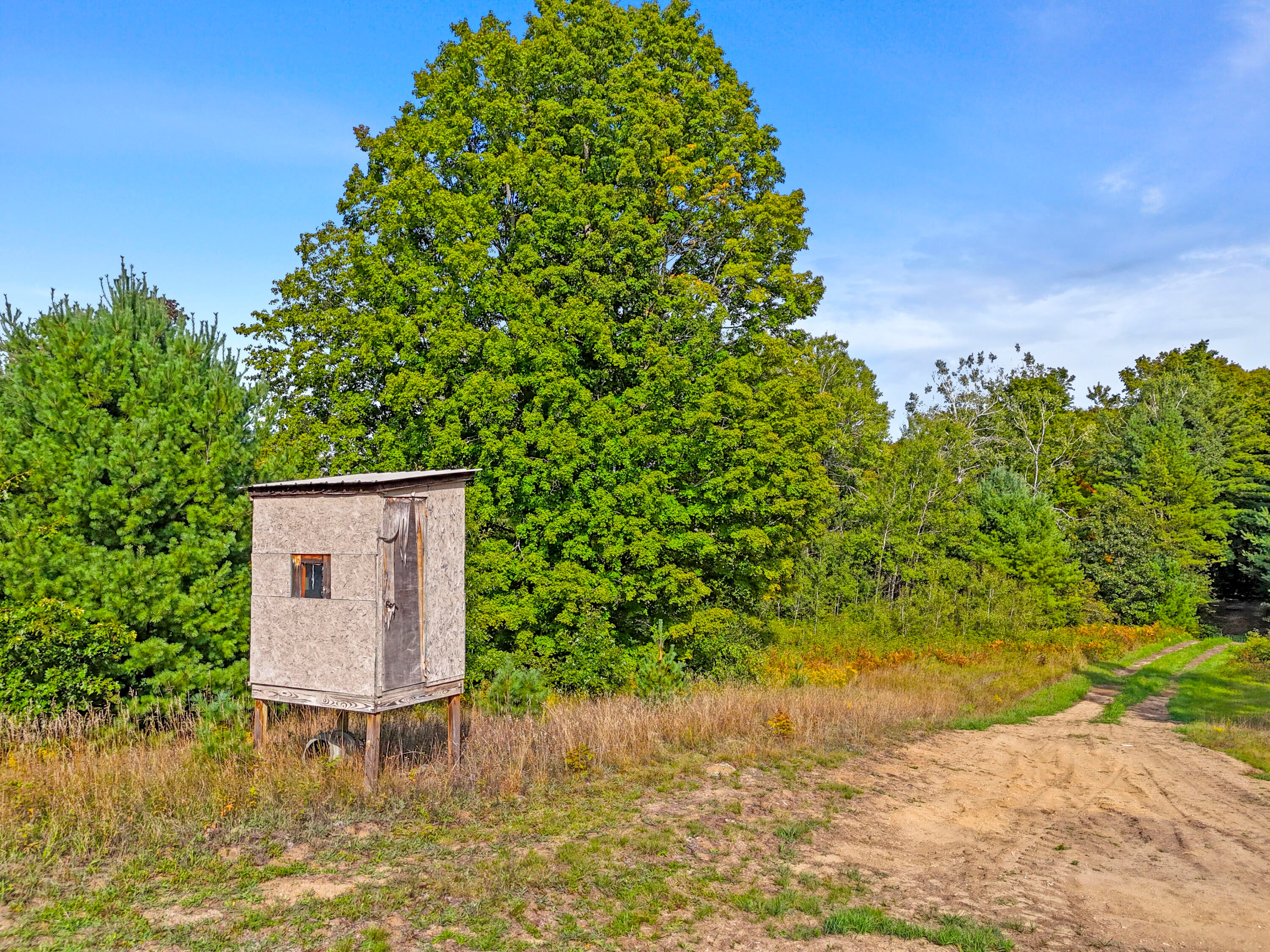 1464 North Raymond Road Luther, MI 49656 - Photo 5 of 31 DJI_20250910045648_0492_D