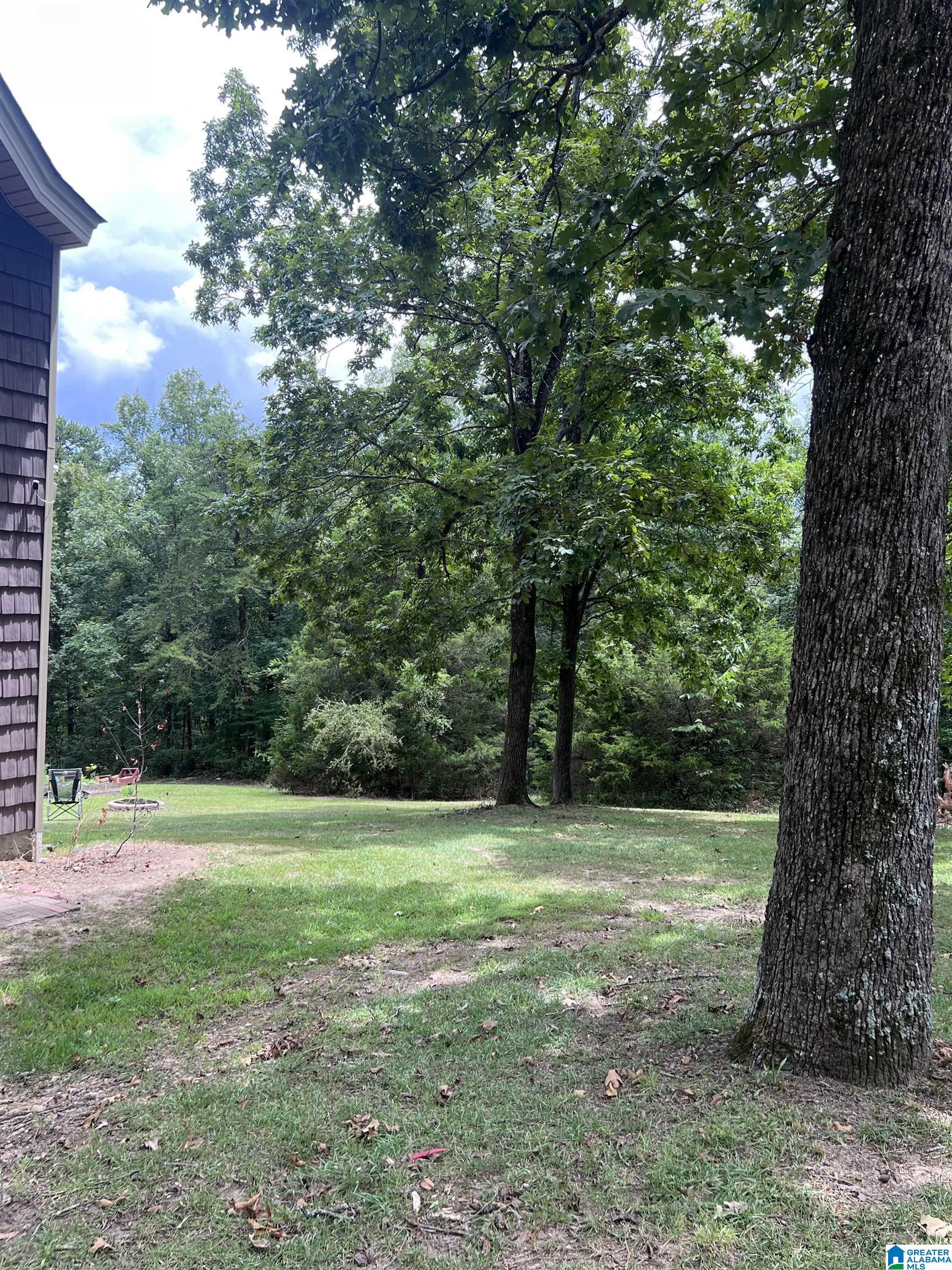 175 Shady Hollow Road Eastaboga, AL 36260 - Photo 25 of 50