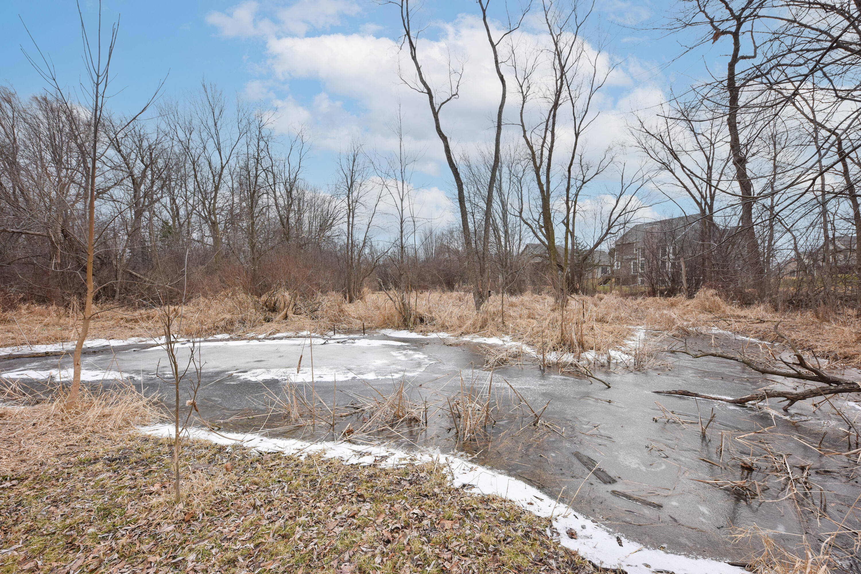 N28W24239 Watertown Road Pewaukee, WI 53072 - Photo 26 of 26 Wooded area in rear yard