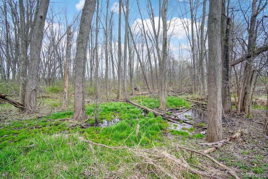 5035 Center Road Linden, MI 48451 - Photo 43 of 88