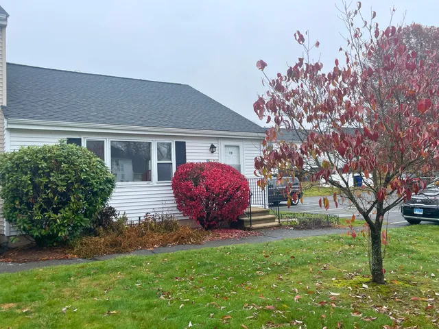 a view of backyard with a garden and entertaining space