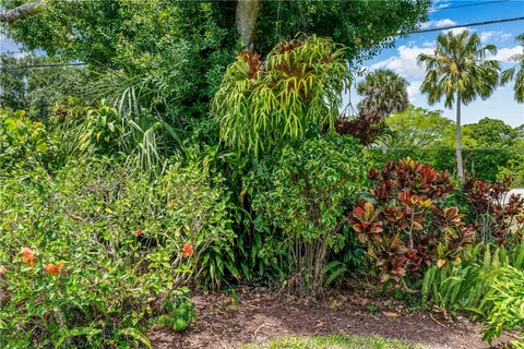 a view of a plant in a garden