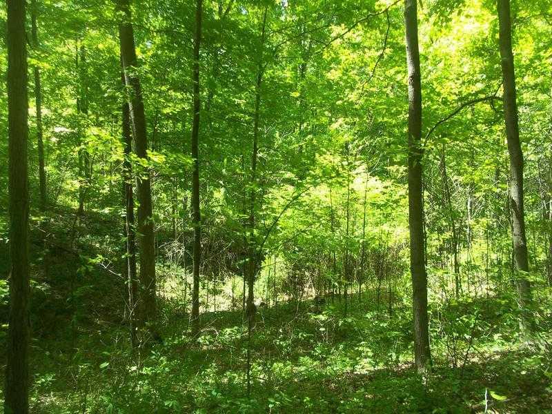 1221 Shiloh Road Spencer, IN 47460 - Photo 4 of 9