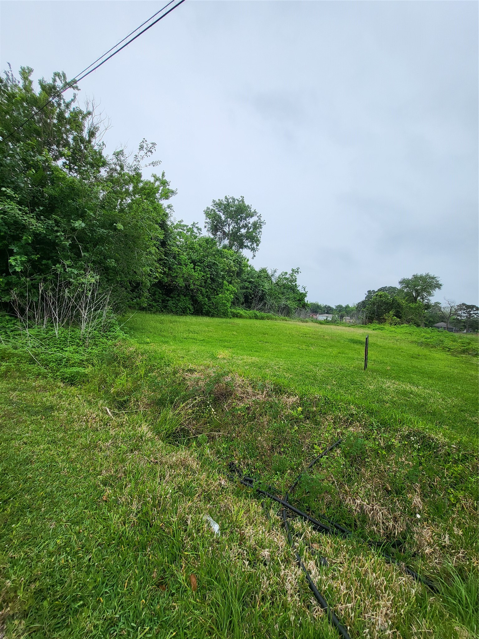 0 Kansas Street La Marque, TX 77568 - Photo 12 of 16 a view of a grassy field with trees