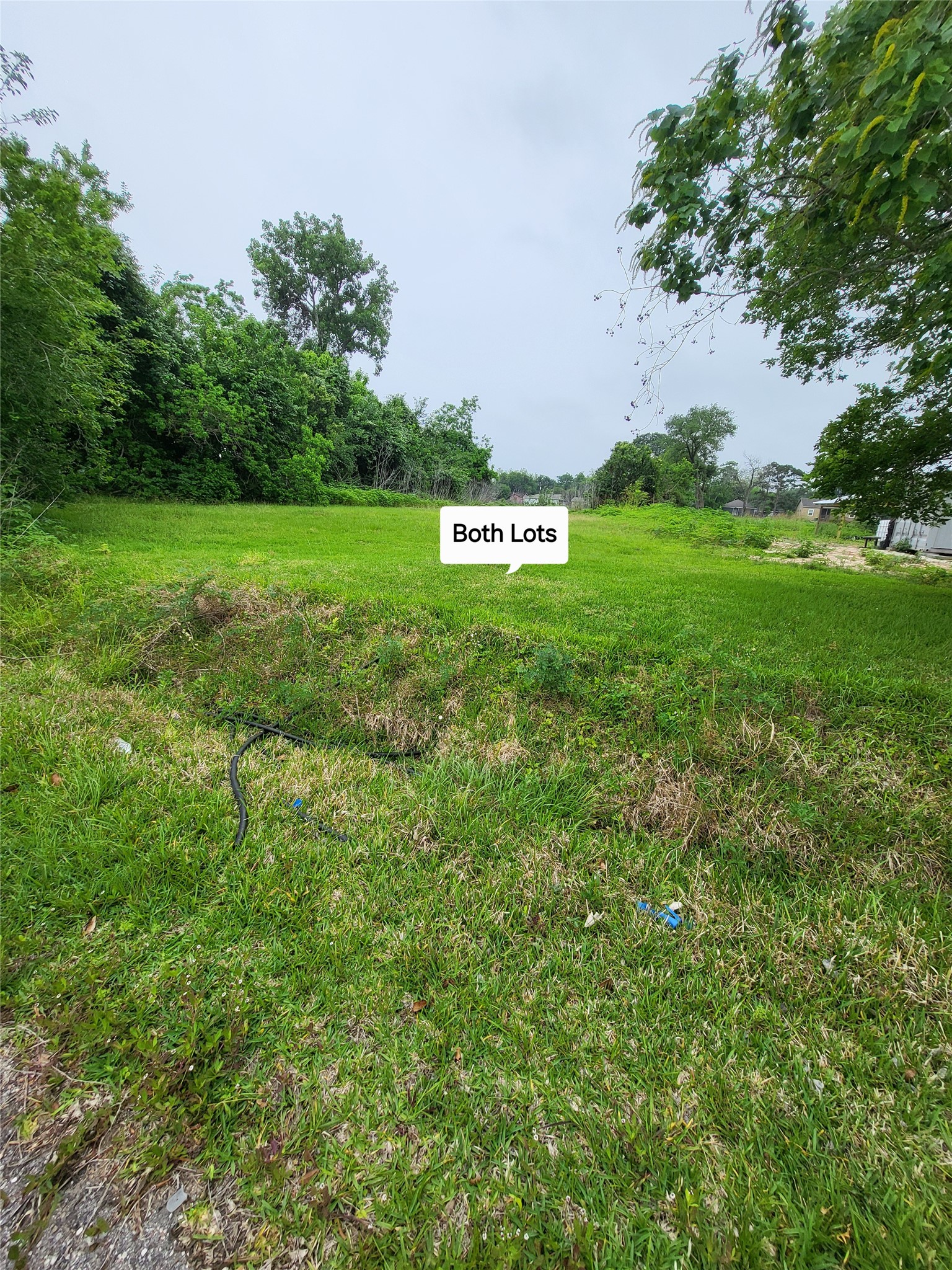 0 Kansas Street La Marque, TX 77568 - Photo 13 of 16 a view of a big yard with large trees