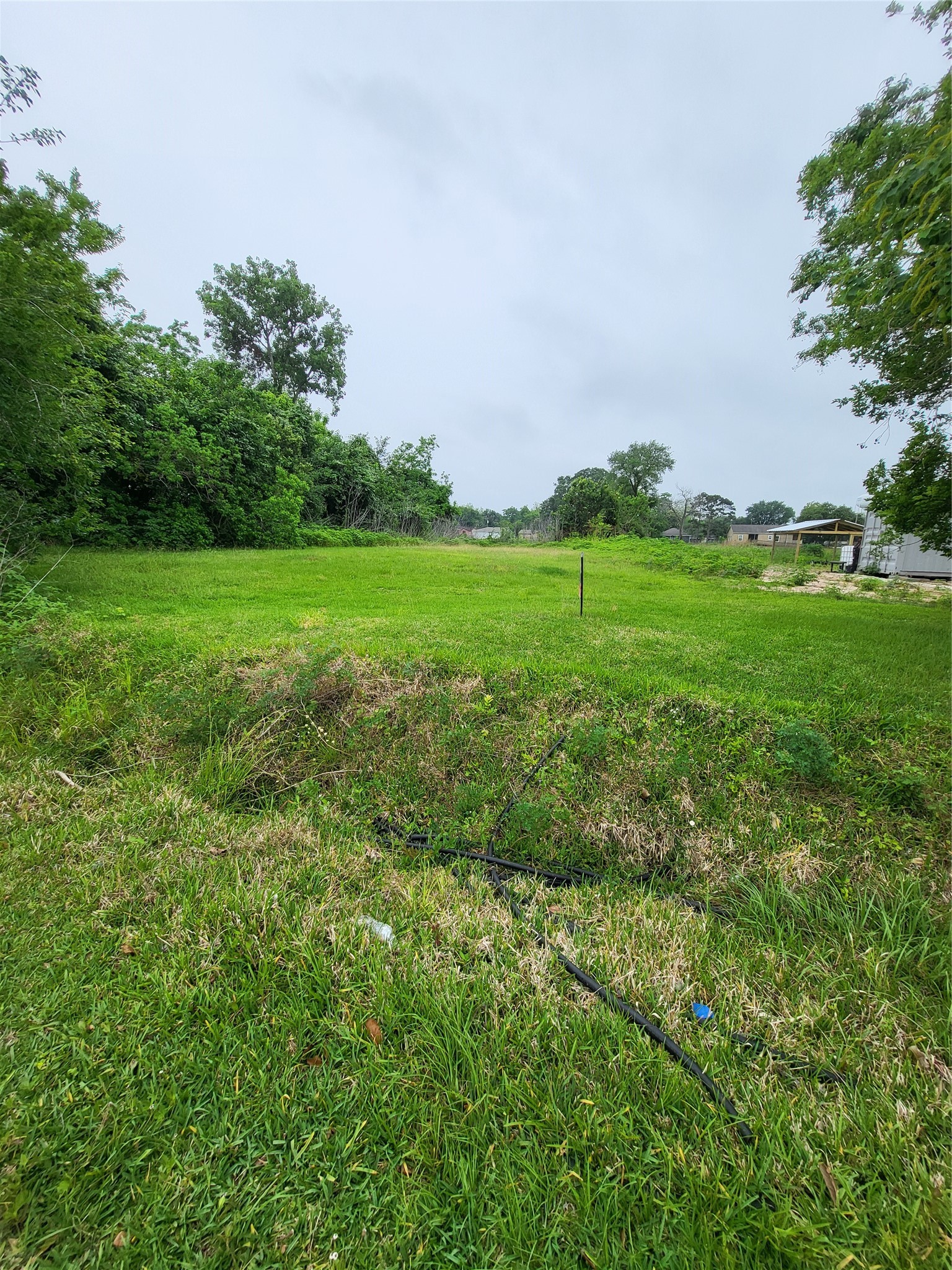 0 Kansas Street La Marque, TX 77568 - Photo 15 of 16 a view of a green field with plants and trees in the background