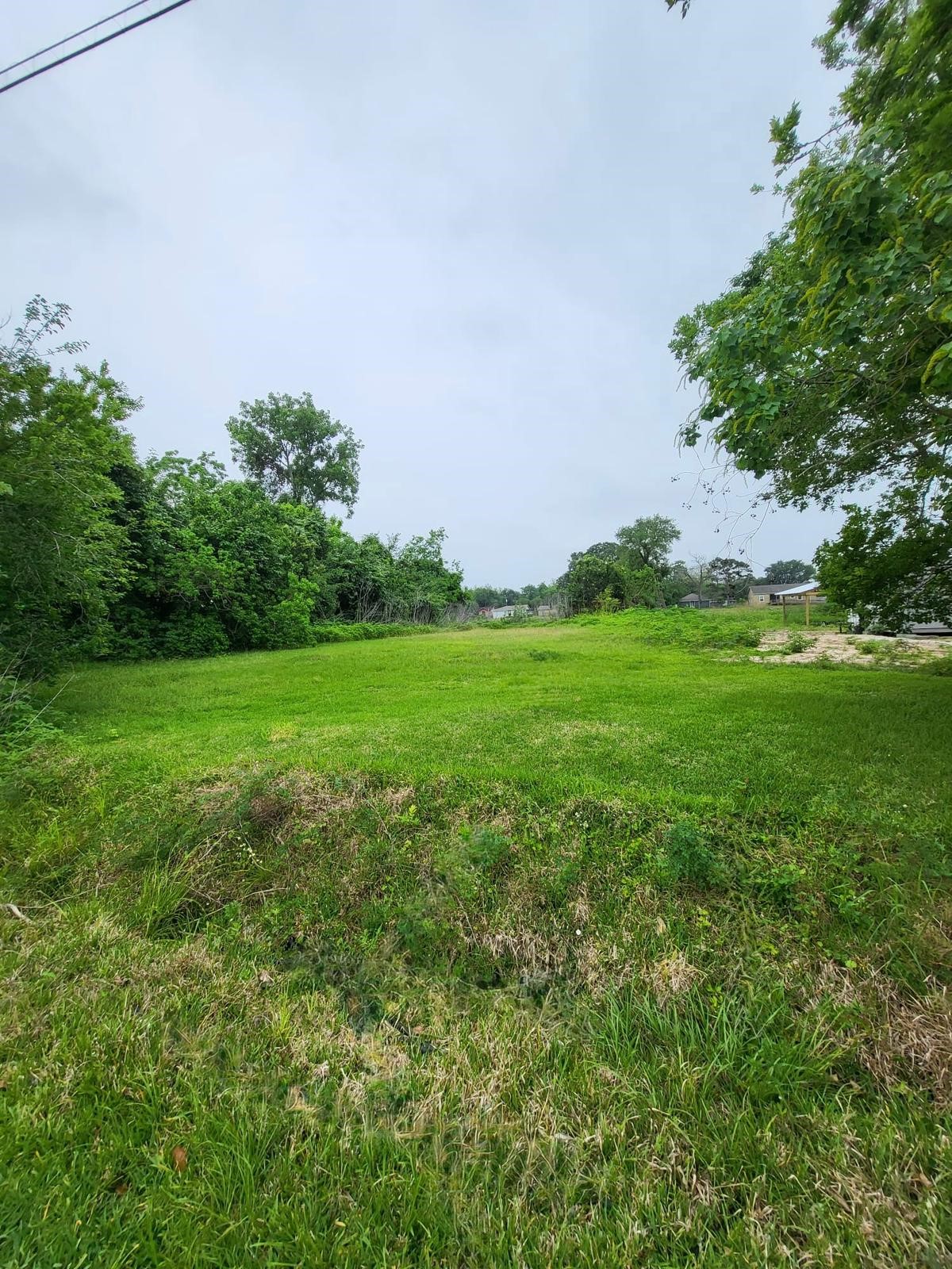 0 Kansas Street La Marque, TX 77568 - Photo 3 of 16 a backyard of a house with lots of green space