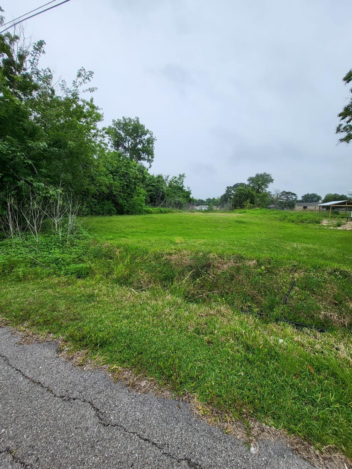 0 Kansas Street La Marque, TX 77568 - Photo 4 of 16 a view of a field with plants and a tree